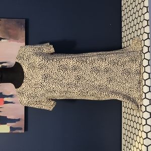 Express Jersey Dress